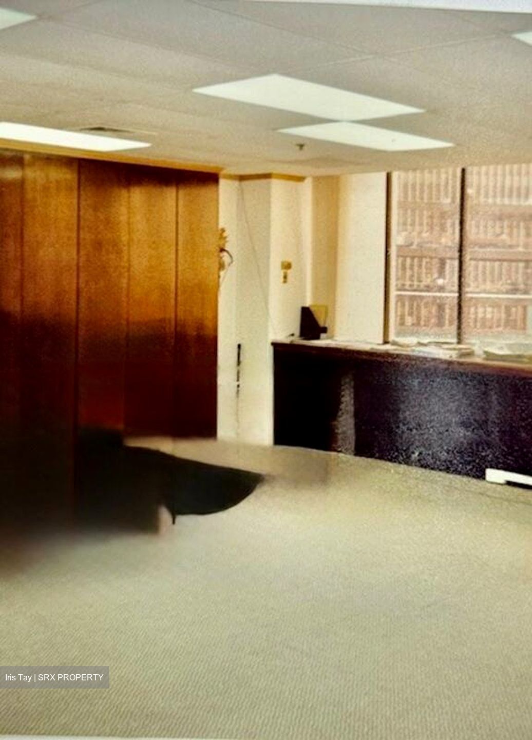 International Plaza (D2), Office #482748471